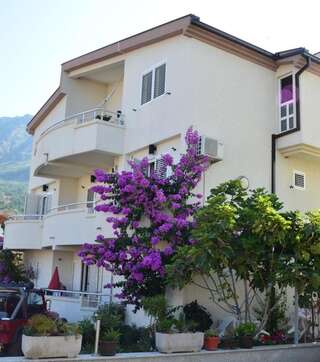 Гостевой дом Guest House Villa Alea Добра-Вода-0